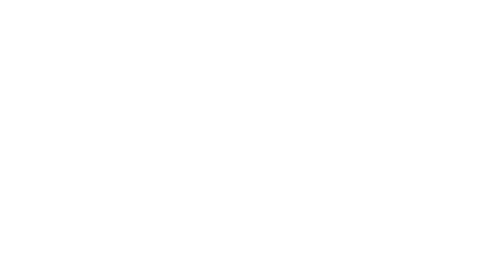 Wisconsin Salt Wise Logo